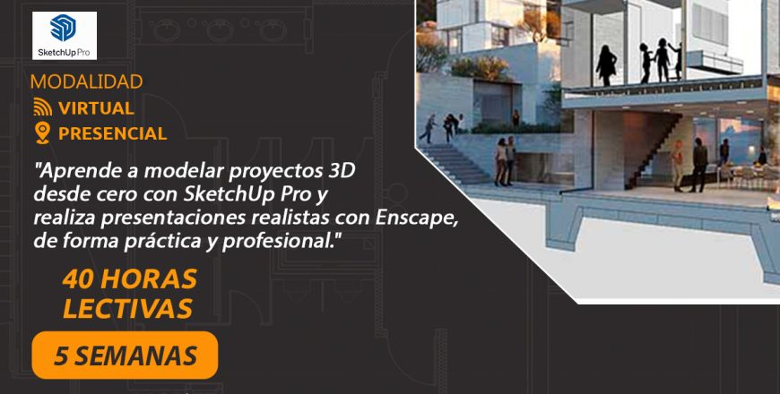 Sketchup Pro